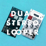 DUAL STEREO LOOPER - BUILT MODULE