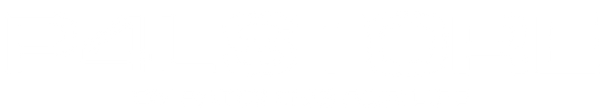 P4L STORE – P4L STORE by Patching for life